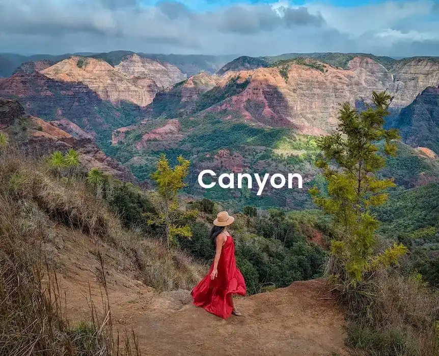 The best Airbnb in Canyon