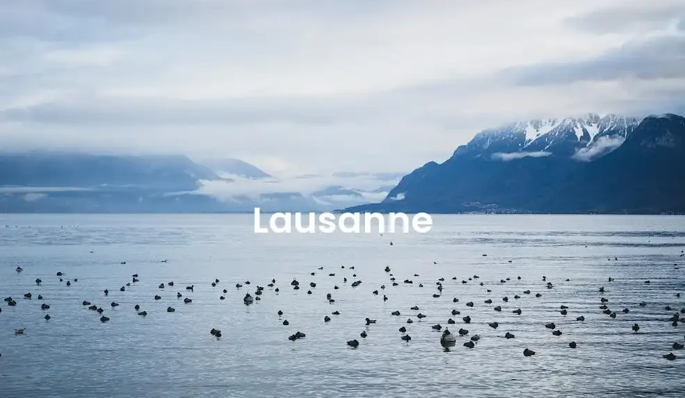 The best Airbnb in Lausanne