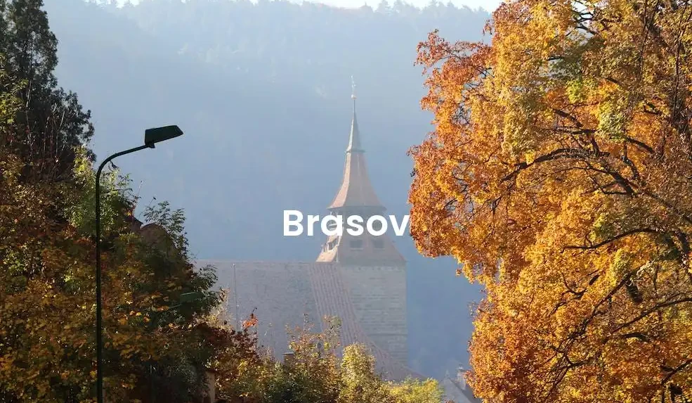 The best Airbnb in Brasov