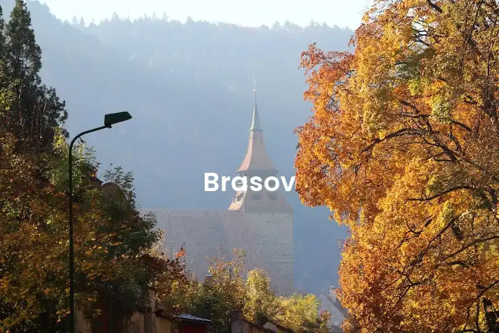 The best Airbnb in Brasov