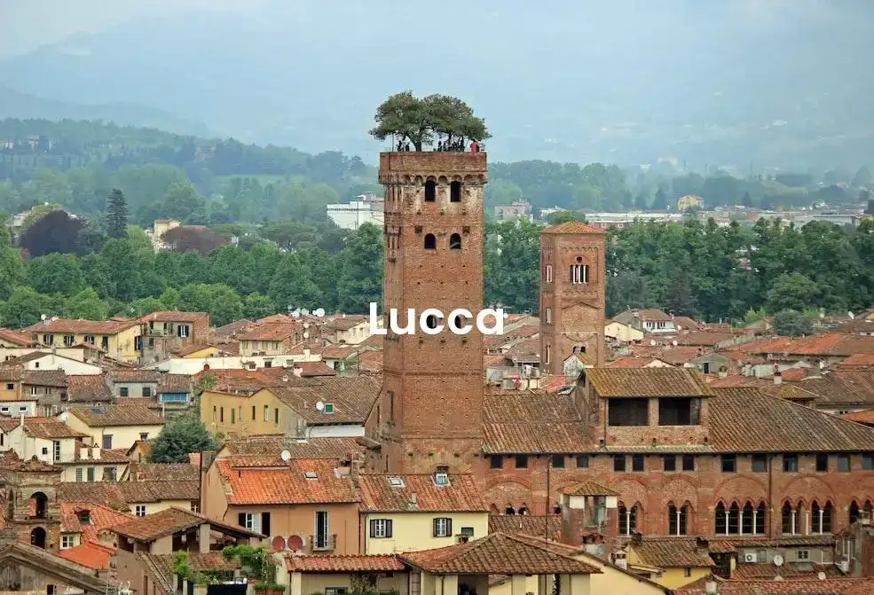 The best Airbnb in Lucca