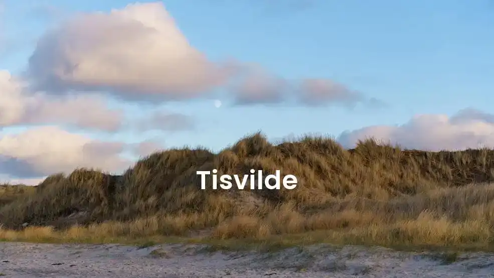 The best Airbnb in Tisvilde