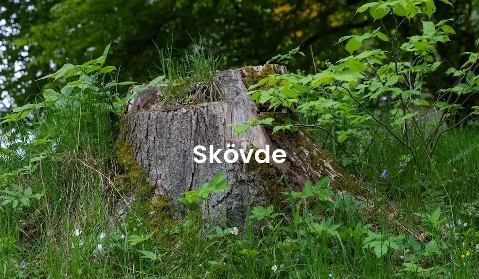 The best Airbnb in Skövde