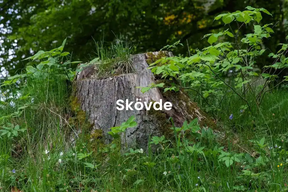 The best Airbnb in Skövde