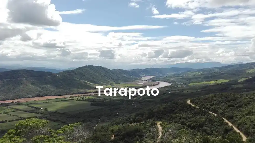 The best Airbnb in Tarapoto