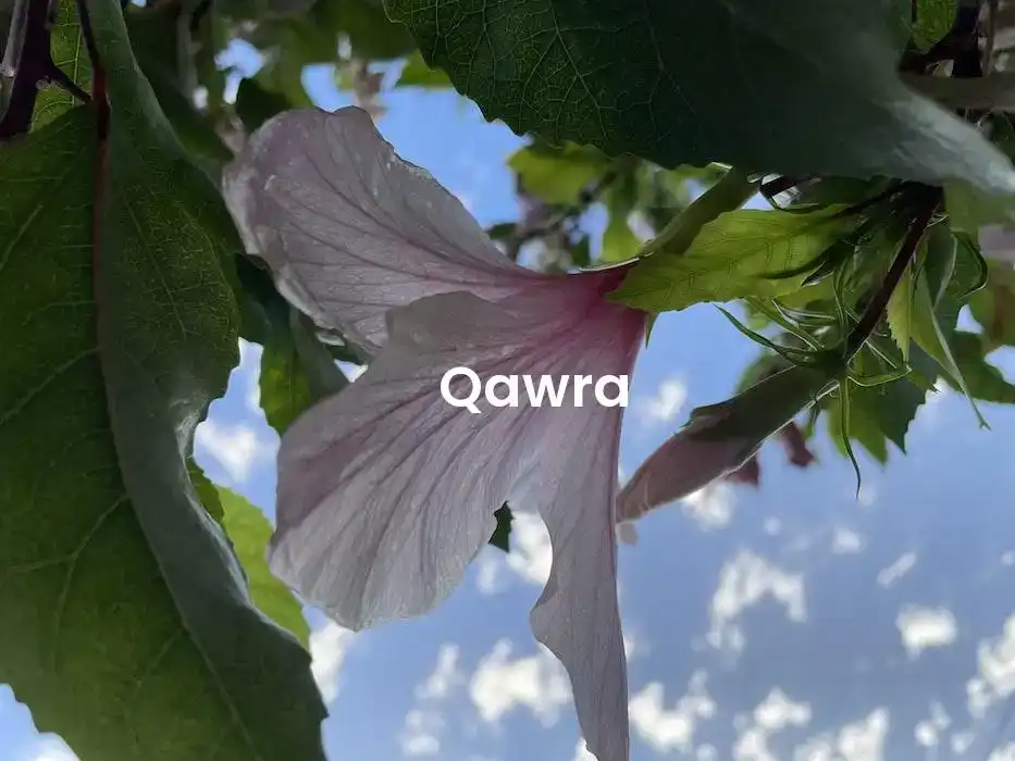 The best Airbnb in Qawra