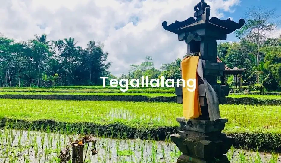 The best Airbnb in Tegallalang