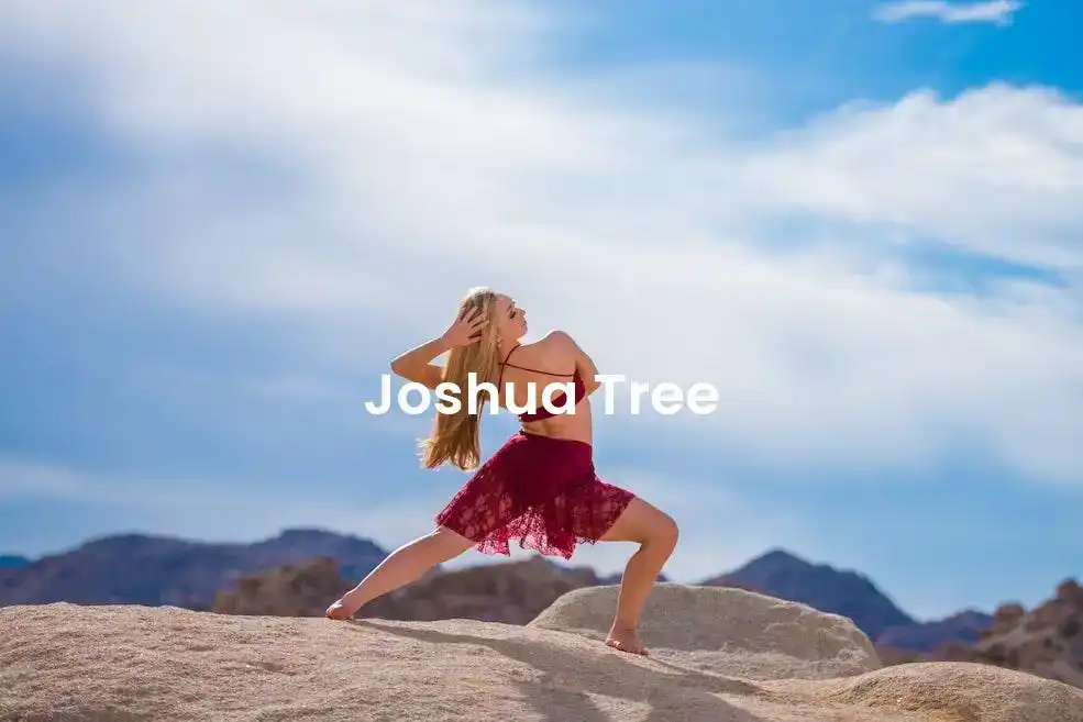 The best Airbnb in Joshua Tree