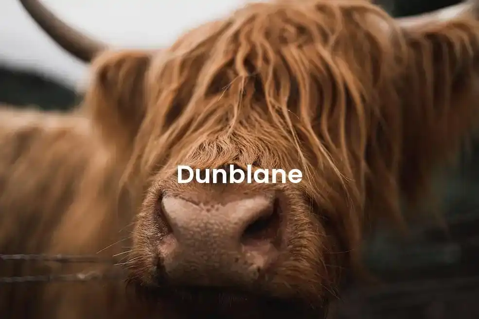 The best Airbnb in Dunblane