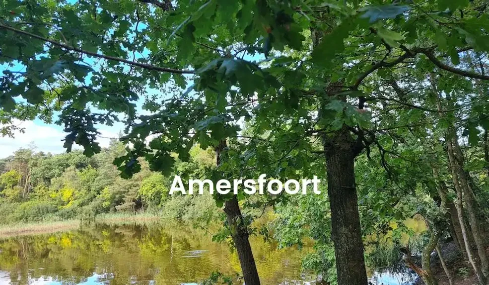 The best Airbnb in Amersfoort