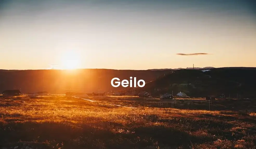 The best Airbnb in Geilo