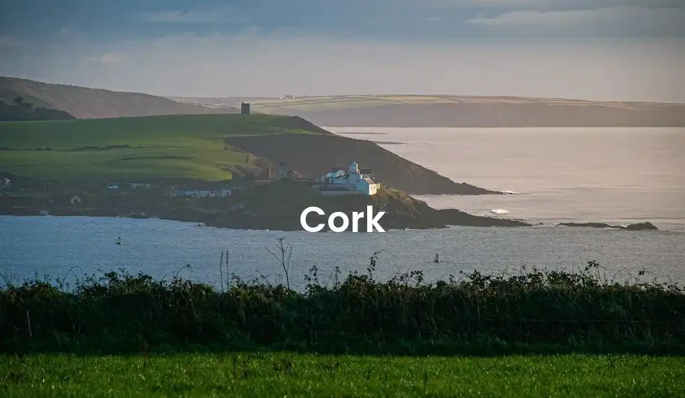 The best Airbnb in Cork