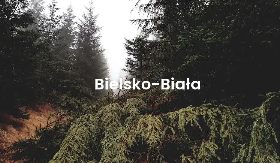 The best Airbnb in Bielsko-Biała